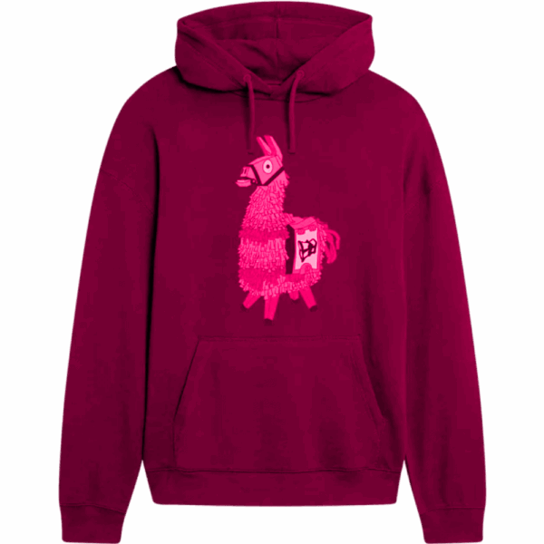 Winter Hoodies - Image 3
