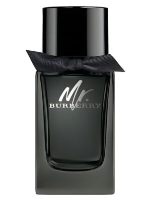 Burberry mr burberry edp 50ml spray
