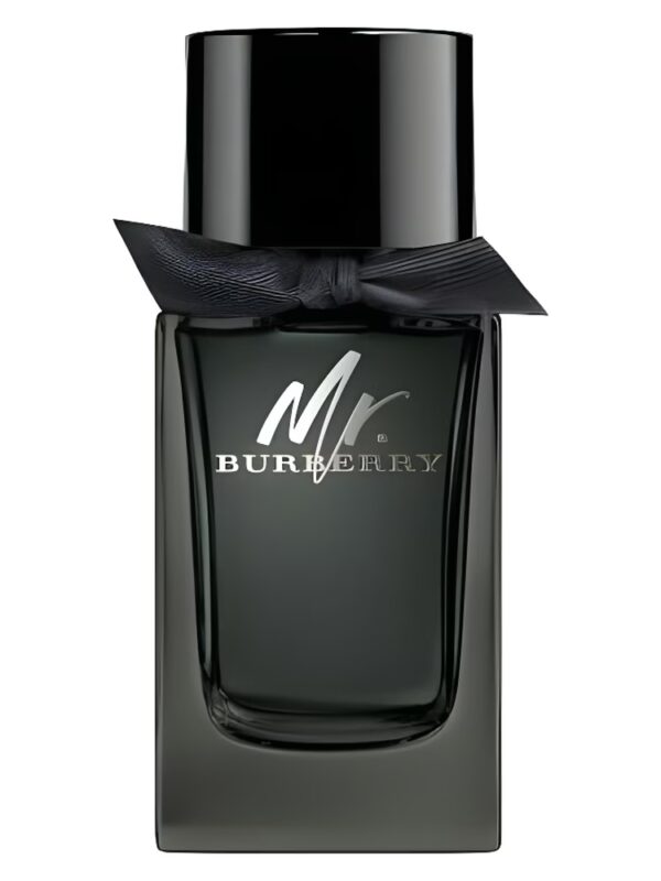 Burberry mr burberry edp 50ml spray