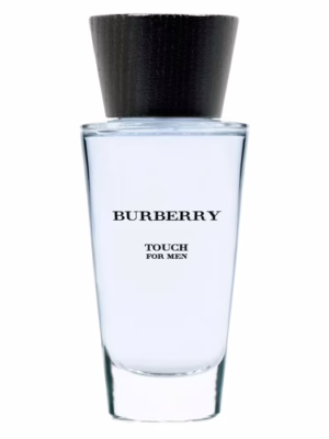 Burberry touch edt 100ml spray